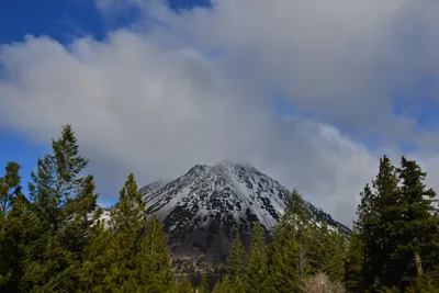 DSC_5890 (Large).JPG